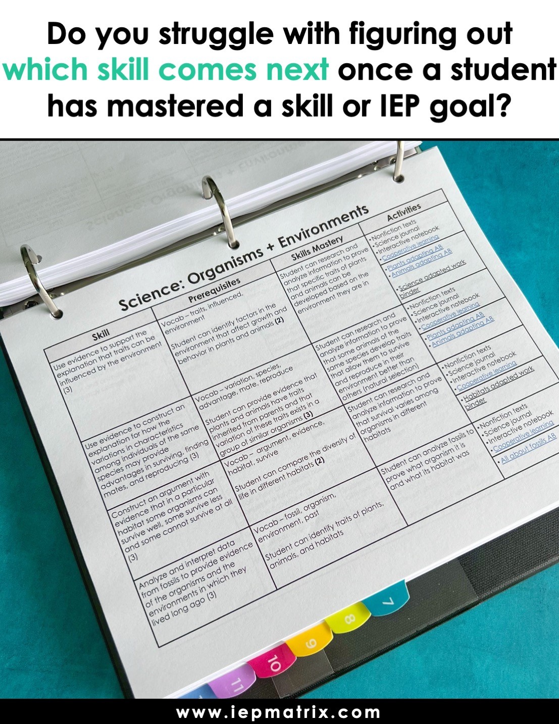 1 IEP Matrix™ | for Birth to 6th Grade Skills - Image 2