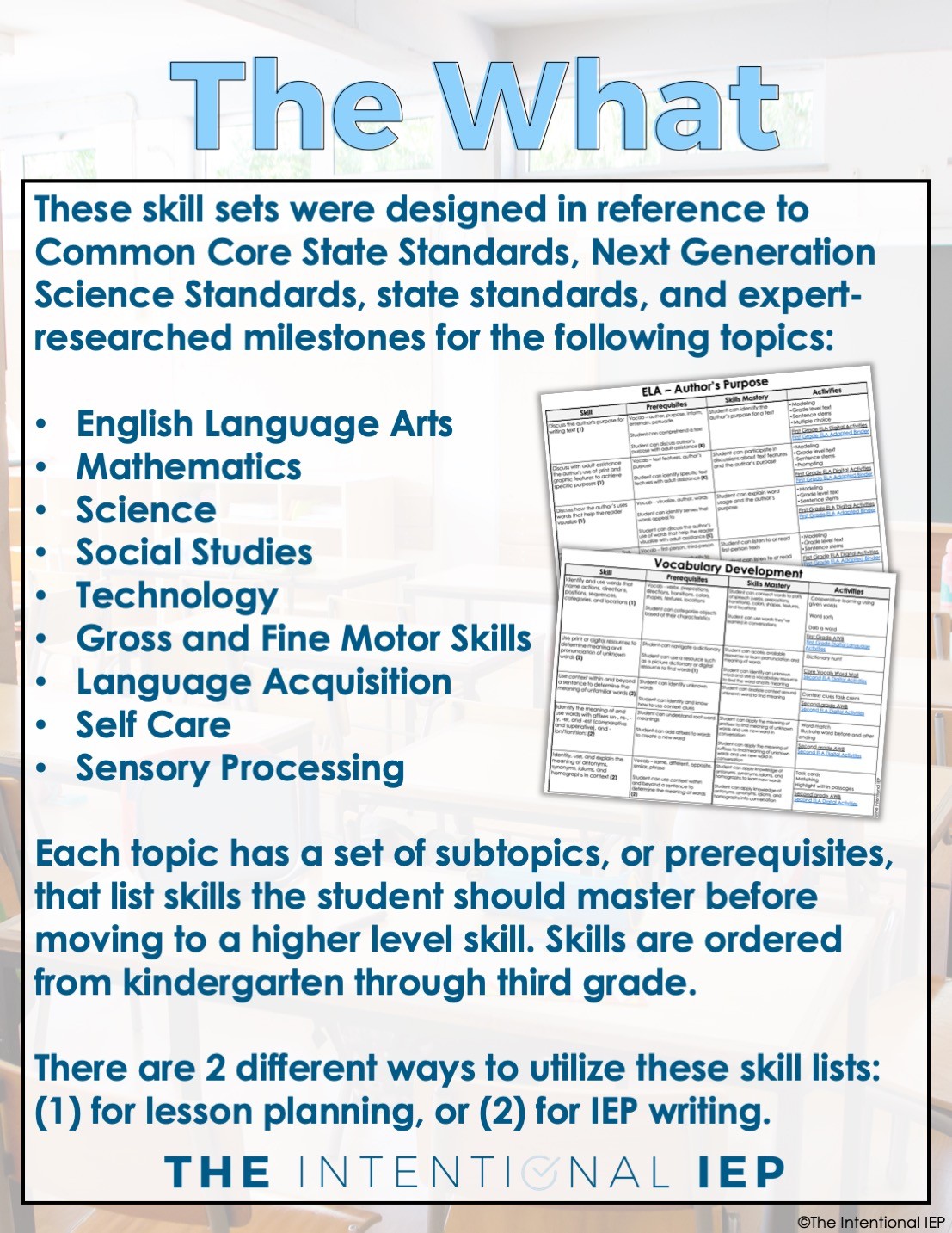 1 IEP Matrix™ | for Birth to 6th Grade Skills - Image 5