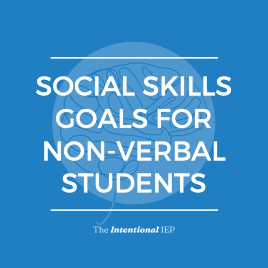 10 Social Skills Goals for Non-Verbal Students