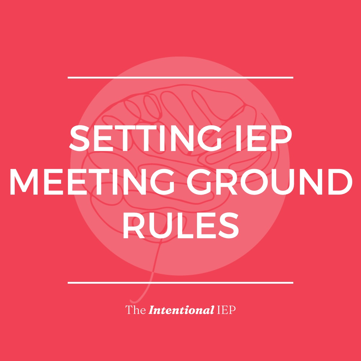 IEP Meeting Ground Rules - The Intentional IEP