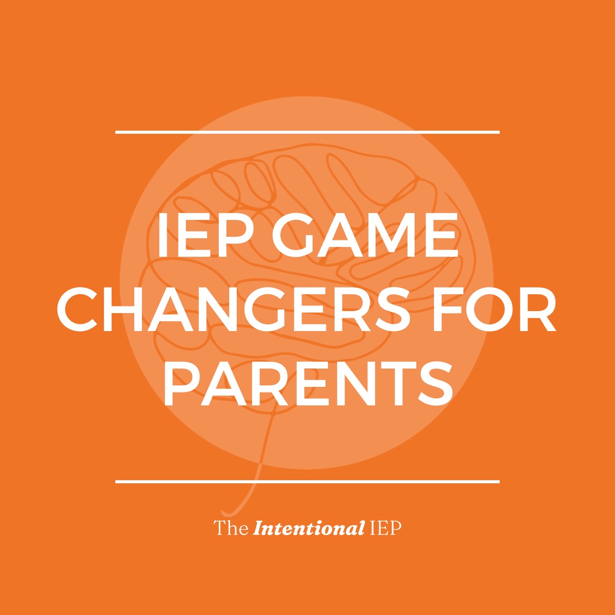 Iep Game Changers For Parents The Intentional Iep