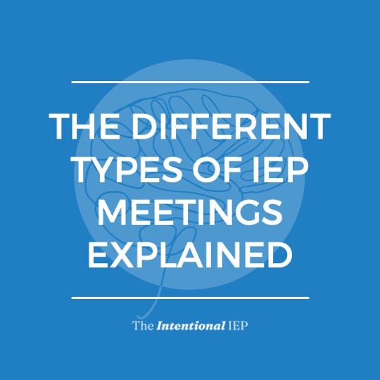 THE DIFFERENT TYPES OF IEP MEETINGS