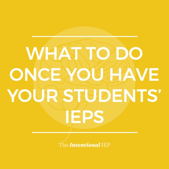 WHAT TO DO ONCE YOU HAVE YOUR STUDENTS IEPS