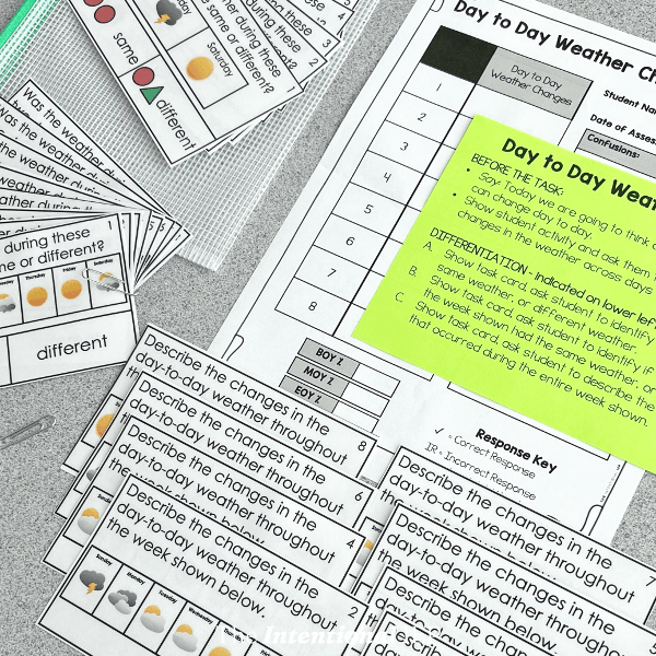 12 Screener Sample Image